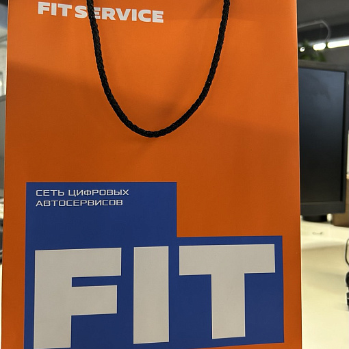 Пакет бумажный подарочный FIT